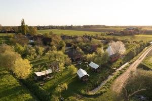 una vista aérea de una localidad con árboles y casas en Tiny Winey House no 2 en Zennewijnen