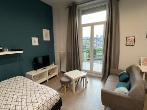 1 dormitorio con 1 cama y sala de estar con ventana en Immeuble La DOA proche CHU en Saint-Priest-en-Jarez