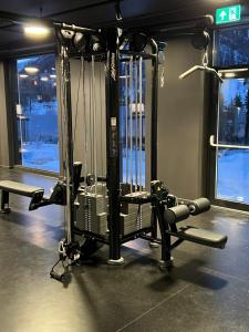 ein Zimmer mit einem Fitnessraum mit einer Kraftmaschine in der Unterkunft Fjellandsbyen 307 in Hemsedal