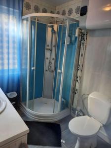 a bathroom with a shower and a toilet in it at LE CHANT DE LA RIVIERE in Sainte-Marie-aux-Mines