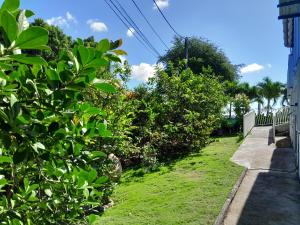 un jardín con arbustos verdes y una valla blanca en L'îlet cacao, en Le Gosier