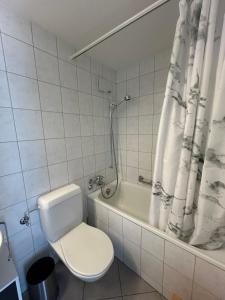 La salle de bains est pourvue de toilettes et d'une baignoire. dans l'établissement Tgesa Tgampi T20, à Savognin