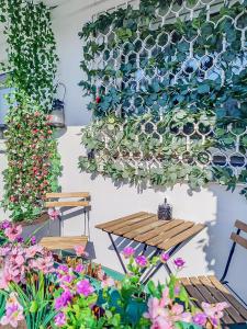 eine Wand voller Gläser und Pflanzen in der Unterkunft CityCharme-Apartment in Braunschweig