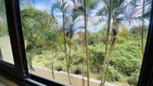 Aed väljaspool majutusasutust COLIVER - COLIVING A LA RÉUNION