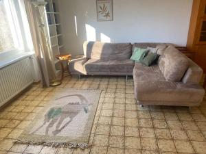 a living room with a couch and a rug at Ferienwohnung Blick ins Grüne in Ober-Ramstadt