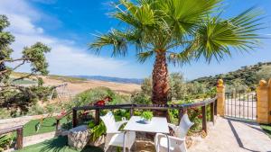 eine Terrasse mit einer Palme, einem Tisch und Stühlen in der Unterkunft Casa Gonzalez Villanueva de la Concepcion by Ruralidays in Villanueva de la Concepción