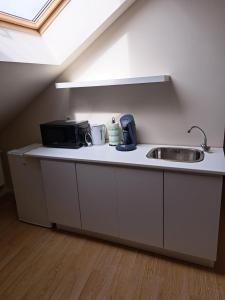 eine Küchentheke mit einer Spüle und einer Mikrowelle in der Unterkunft Jumet 242 A Bruxelles-Charleroi-airport in Charleroi