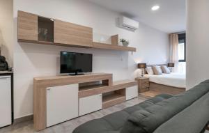 uma sala de estar com uma televisão, um sofá e uma cama em Amazing Apartment In Fuente De Piedra With Wifi em Fuente de Piedra