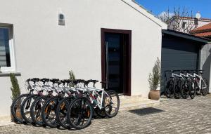 Jazda na bicykli v okolí ubytovania Amazing Home In Valtursko Polje