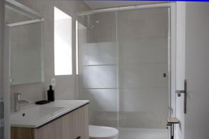 e bagno con doccia, servizi igienici e lavandino. di Gîte le Luberon a Robion en Luberon