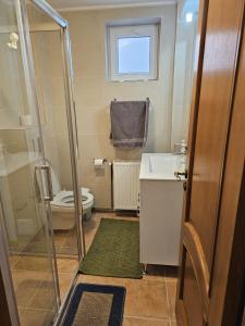 a small bathroom with a toilet and a sink at Vila Călin Sinaia in Sinaia