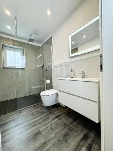 een badkamer met een toilet, een wastafel en een douche bij ROTH Apartments Velbert-Mitte in Velbert