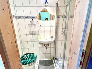 a small bathroom with a toilet and a sink at Apartment Gebauer-1 by Interhome in Fuchshofen