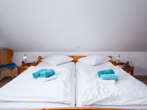 ノルトダイヒにあるHoliday Home Backbord by Interhomeの青い枕が備わる客室内のベッド2台