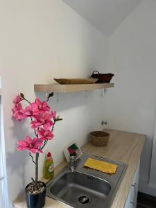 encimera de cocina con fregadero y planta en Apartments im Herzen von Velbert, en Velbert