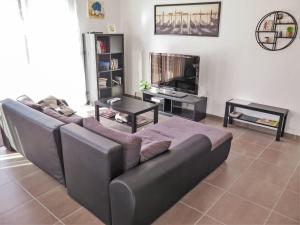 sala de estar con sofá y TV en Holiday Home Carraou - VSG140 by Interhome en Vielle-Saint-Girons