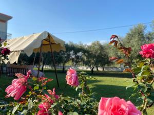 ein Garten mit einem weißen Sonnenschirm und rosa Rosen in der Unterkunft Villa Elia in Karianí