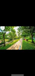 En have udenfor Comfort Living at Country Garden Central Park 1-4pax