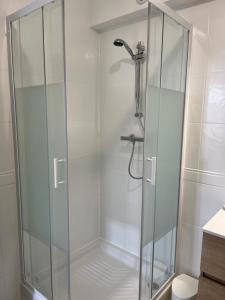 een douche met een glazen deur in een badkamer bij Joli appartement in Cozes +11 foto's