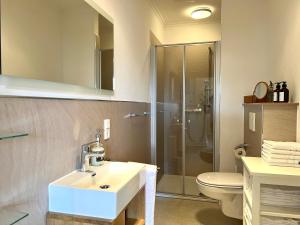 a bathroom with a sink and a toilet and a shower at Modernes Apartment in alter Burg nahe Fulda in Schlitz