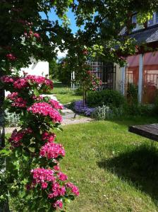 um arbusto de flores rosas ao lado de um banco em Eternellgården em Kivik