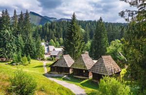 蘇伯萊茲的住宿－Penzión Janka，森林中小屋的空中景观