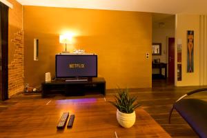 a living room with a television on a table at Special Retreat Apartment & Home-Office & Workplace in Basel