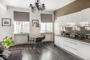 Kuchyňa alebo kuchynka v ubytovaní Stylowy apartament w najlepszej lokalizacji