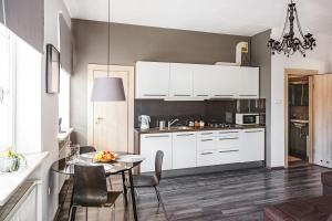 Kuchyňa alebo kuchynka v ubytovaní Stylowy apartament w najlepszej lokalizacji