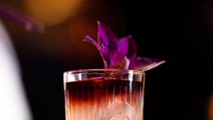 a purple flower is sitting in a glass at TORTUE Hamburg in Hamburg