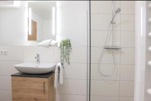 La salle de bains est pourvue d'un lavabo et d'une douche. dans l'établissement Hotel am Wittelsbacher Markt by greenpartment, à Langquaid