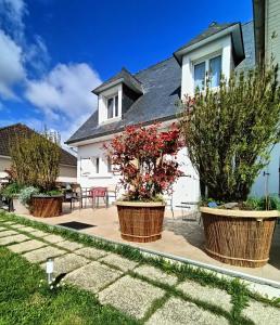 a house with three potted plants in front of it at Appartement et Maison Espace Mayenne in Laval
