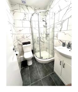 a bathroom with a toilet and a shower and a sink at Central locations 1 bed apartments sleeps 4 in London