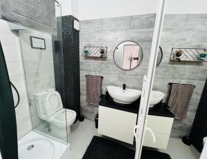 een badkamer met een toilet, een wastafel en een spiegel bij Sara room in Curtea de Argeş