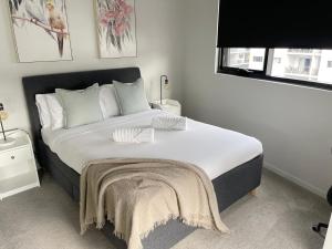 Fotografie z fotogalerie ubytování Blackdiamond 504 - Beautiful, modern apartment - 2BdR, 2BthR v destinaci Tuggeranong
