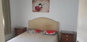 a bed with two pillows on it in a bedroom at Didon Manar in Tunis