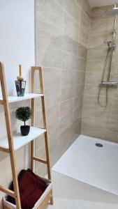 a bathroom with a shower and a toilet and a ladder at La Tanière Lens est in Sallaumines