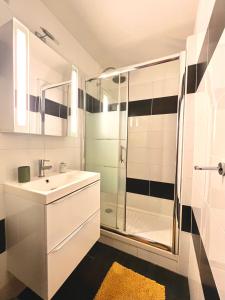 a bathroom with a sink and a shower at Appartement proche gare, 6 voyageurs et stationnement gratuit in Reims