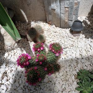 Φωτογραφία από το άλμπουμ του Chez Nous σε Le Rove