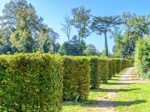 a row of hedges in a park at Apartment Le Château de Kergonano-20 by Interhome in Baden