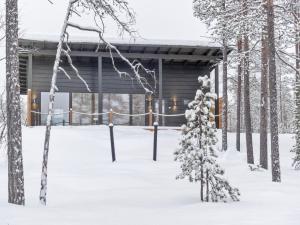 Το Holiday Home Villa paadari by Interhome τον χειμώνα