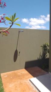 MaracajuにあるCasa super-aconchegante.の椰子の絵画の壁 +7枚の写真