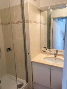 a bathroom with a shower and a sink and a mirror at Bel appartement spacieux / Proche Arena Paris Sud in Issy-les-Moulineaux