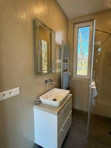 a bathroom with a sink and a mirror and a shower at Luxuriöses Ferienhaus nähe Kattowitz in Bytom