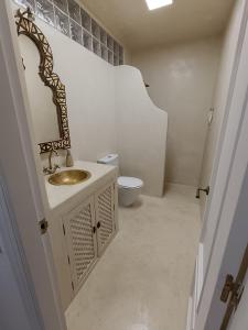 ein Badezimmer mit einem Waschbecken, einem Spiegel und einem WC in der Unterkunft Rinconcito en Aguamarga in Agua Amarga