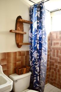 Un baño con inodoro y cortina de ducha azul. en Casa Coco Hostel, en Santa Ana