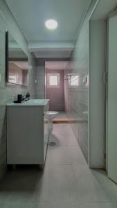 uma casa de banho com um lavatório e um WC em Solar de Pisões em Marco de Canavezes