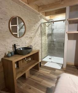 ein Bad mit einem Waschbecken und einer Dusche mit einem Spiegel in der Unterkunft GITE Le grenier du Jean 8 personnes in Sancey-le-Long