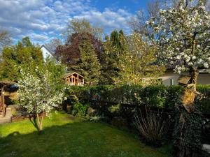 a yard with a fence and flowering trees and a house at Cottage mit Garten in Michendorf
