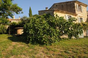 an apple tree in front of a house at Le Jas de Péguier in Châteauneuf-Val-Saint-Donat